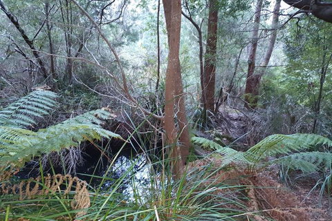 Roland B&B - New South Wales Tourism  5