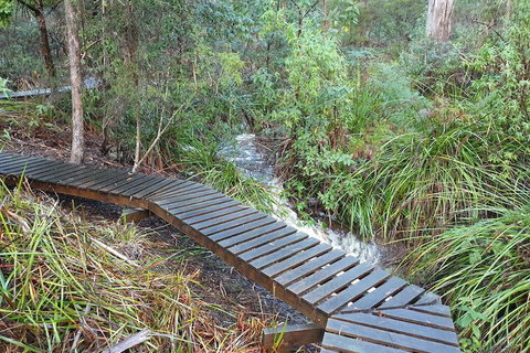 Roland B&B - New South Wales Tourism  6