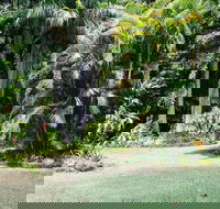 Sanctuary in The Pocket - New South Wales Tourism 