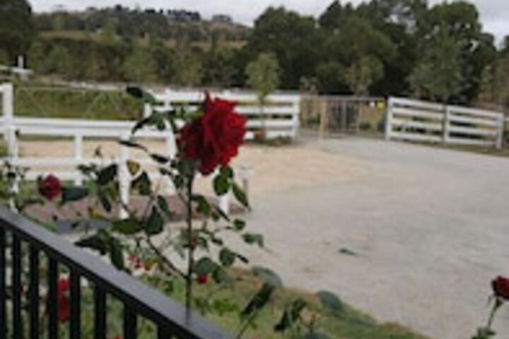 Loch VIC New South Wales Tourism 