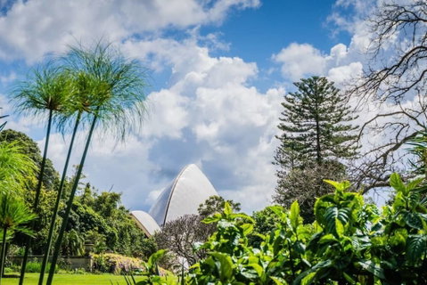 Amazing View Kozy 2 Bed APT With Parking Waterloo Nwa052 - New South Wales Tourism  6