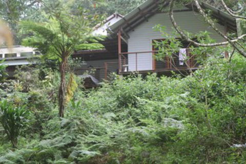 Peaceful Rainforest Wildlife Retreat - New South Wales Tourism  3