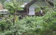 Peaceful Rainforest Wildlife Retreat - thumb 5