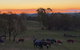 High Country Trail Rides & Farm Stay - thumb 0