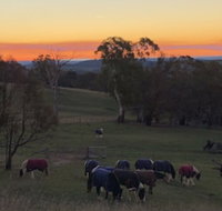 High Country Trail Rides  Farm Stay - New South Wales Tourism 