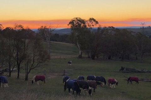 High Country Trail Rides & Farm Stay - New South Wales Tourism  0