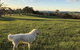 High Country Trail Rides & Farm Stay - thumb 1