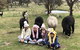 High Country Trail Rides & Farm Stay - thumb 2