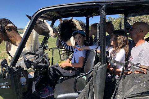 High Country Trail Rides & Farm Stay - New South Wales Tourism  4