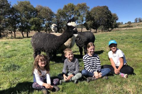 High Country Trail Rides & Farm Stay - New South Wales Tourism  3