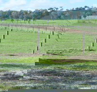 Yea Woodduck Cottage - New South Wales Tourism 