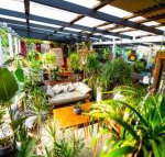 Jaspers Apartments - New South Wales Tourism 