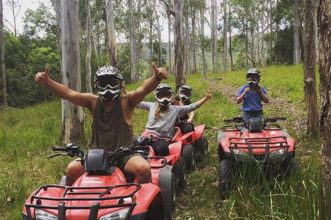 Mount Seaview Resort - New South Wales Tourism  3