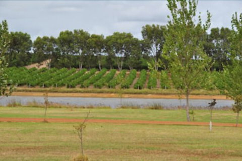 Bettenay Loft Spa Apartment & Lakeview Chalets - New South Wales Tourism  5