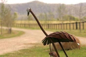 Pemberley Grange - New South Wales Tourism  0