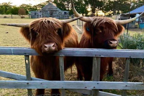 Straw House Farm B & B - New South Wales Tourism  4