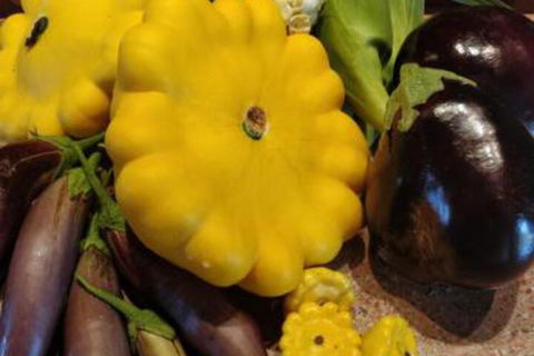Straw House Farm B & B - New South Wales Tourism  6