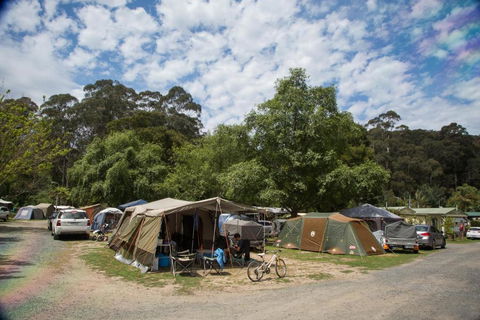 Warburton Holiday Park - New South Wales Tourism  2