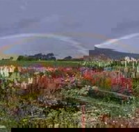 Boat Harbour Garden Cottages - New South Wales Tourism 