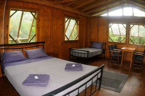 Daintree Rainforest Bungalows - New South Wales Tourism  4