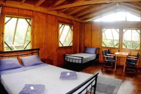 Daintree Rainforest Bungalows - New South Wales Tourism  5