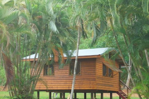 Daintree Rainforest Bungalows - New South Wales Tourism  0