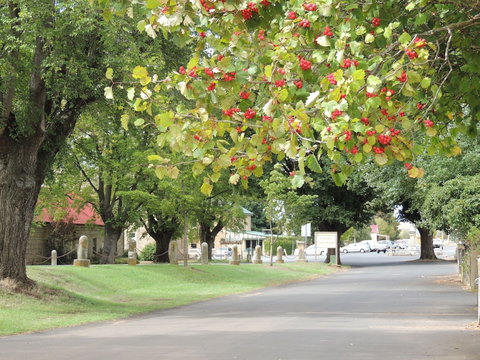 Ross Motel - New South Wales Tourism  5