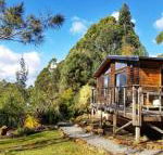 Southern Forest Accommodation - New South Wales Tourism 