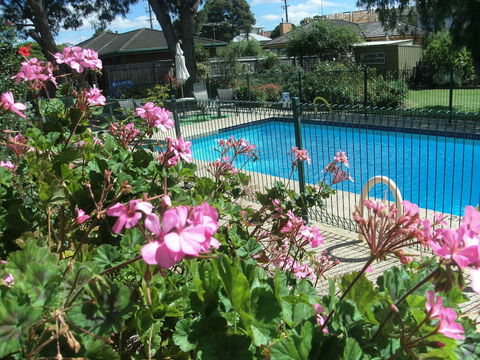 Parkwood Motel And Apartments - New South Wales Tourism  2