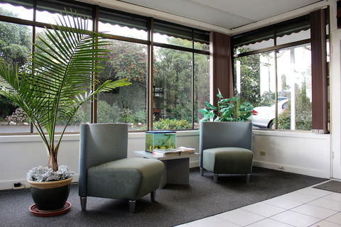 Ringwood Motel - New South Wales Tourism  6