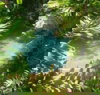 Palm Cove Tropic Apartments - New South Wales Tourism 