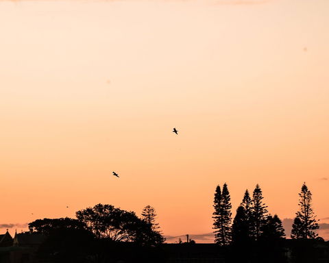 Terrigal Pacific Coastal Retreat - New South Wales Tourism  5