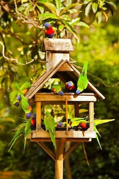 Crystal Brook Tourist Park - New South Wales Tourism  0