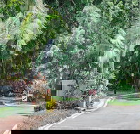 Oasis at Palm Cove - New South Wales Tourism 