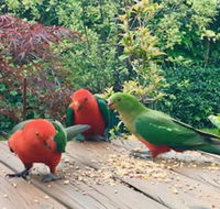 Crimson Villa - New South Wales Tourism 