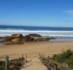 Bellbird Cottage B  B - New South Wales Tourism 