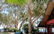 Turtle Cove Beach Resort Adults Only LGBTQIA & Allies - thumb 0