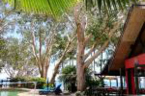Turtle Cove Beach Resort Adults Only LGBTQIA & Allies - New South Wales Tourism  0