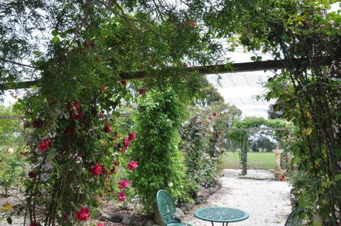 Fairy Wren Cottage Country To Coast Retreat - New South Wales Tourism  1