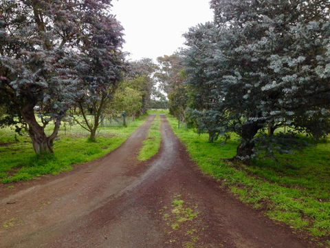 Fairy Wren Cottage Country To Coast Retreat - New South Wales Tourism  4