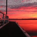 Fairy Wren Cottage Country To Coast Retreat - New South Wales Tourism  0