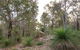 A Hidden Bush Delight - thumb 6
