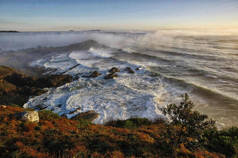 Bimbimbi 2 11 Willow Street - New South Wales Tourism  5