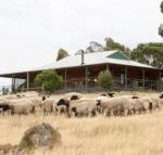 Gilgraves Vineyard Farmstay - New South Wales Tourism 