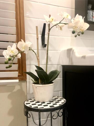 SEAeSCAPE Apollo Bay - New South Wales Tourism  4