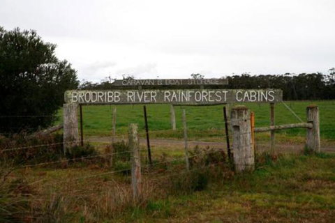 Brodribb River Rainforest Cabins Cabin 2 - New South Wales Tourism  7