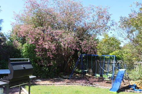 Sisters Beach Paradise - New South Wales Tourism  3