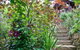 The Black Cockatoo Secret Garden Mountains Home - thumb 6