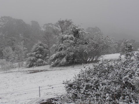 Springmead Rustic Cabin - New South Wales Tourism  6