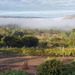 Pecan Hill BNB - New South Wales Tourism  0